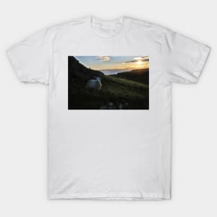 Early morning sheep on Skye - Isle of Skye, Scotland T-Shirt